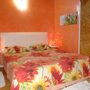 Orange Flower Apartment
